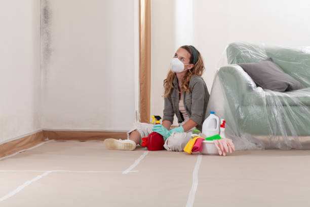 Reliable Commercial Mold Remediation contractor in Carrsville, VA by WQB Mold Removal